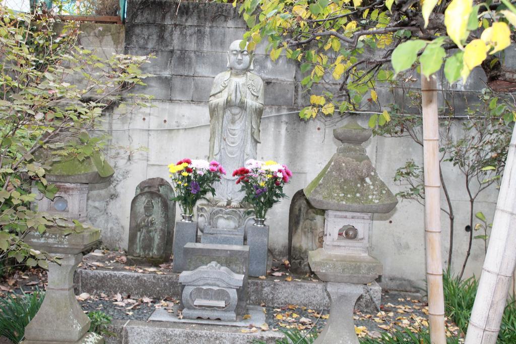 葡萄屋高圆寺旅舍 旅馆 *