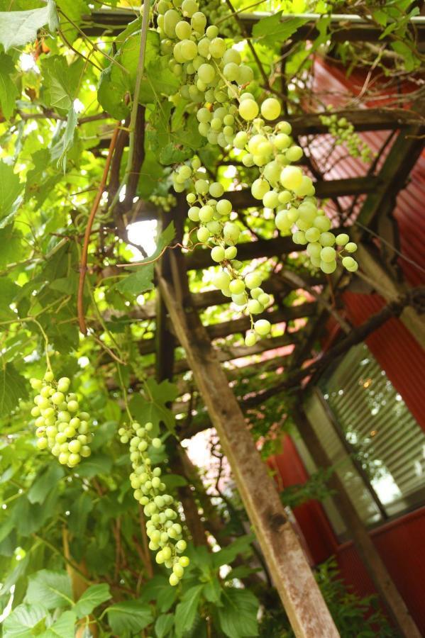 Grapehouse Koenji * Präfektur Tokio